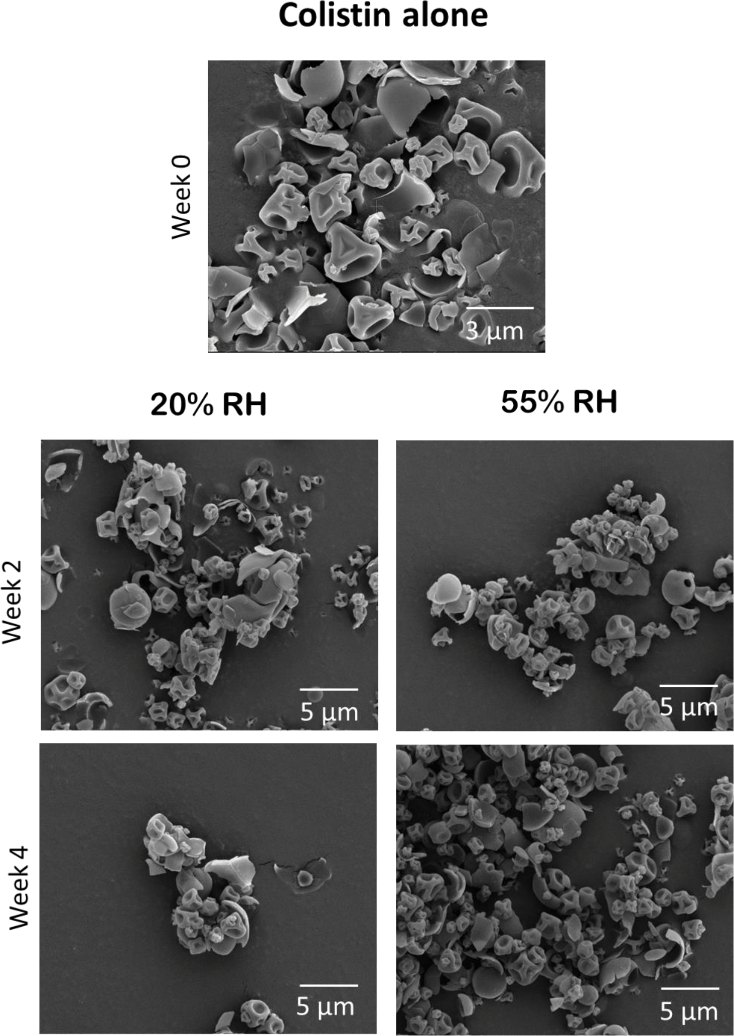 Fig. 8