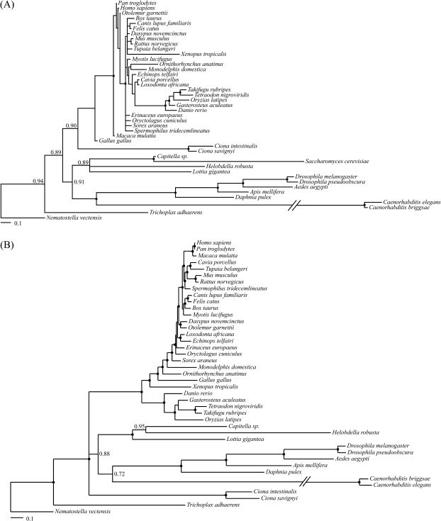 FIG. 4.—