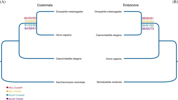 FIG. 1.—