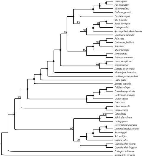 FIG. 3.—