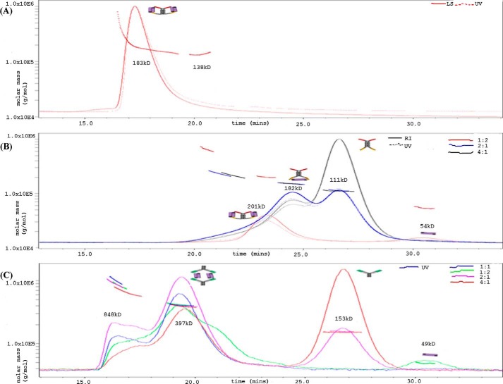 FIGURE 4.