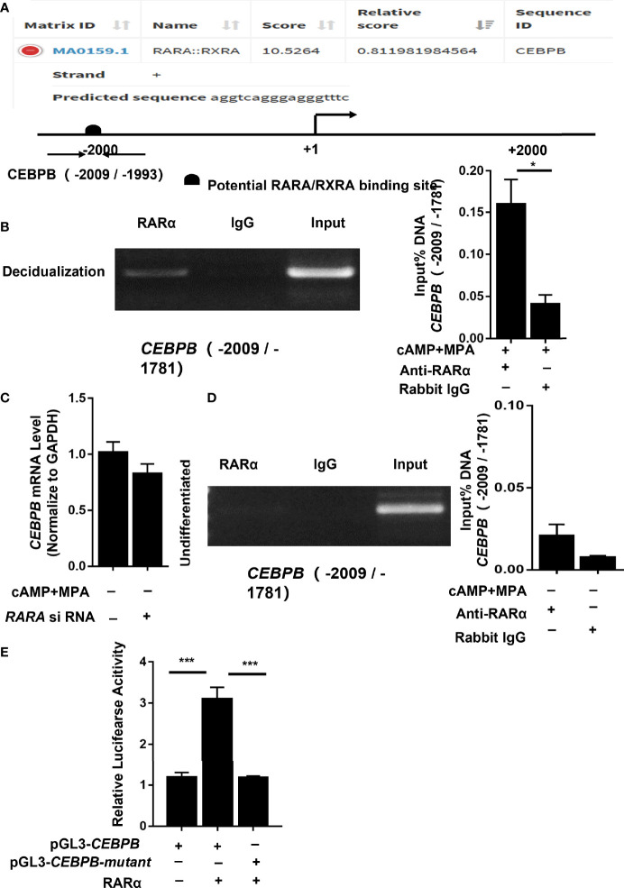 Figure 6