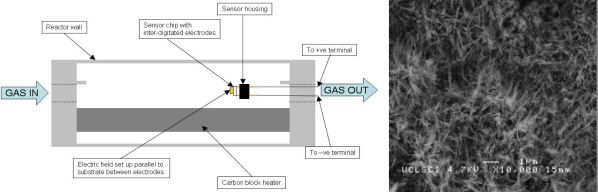 Figure 24.