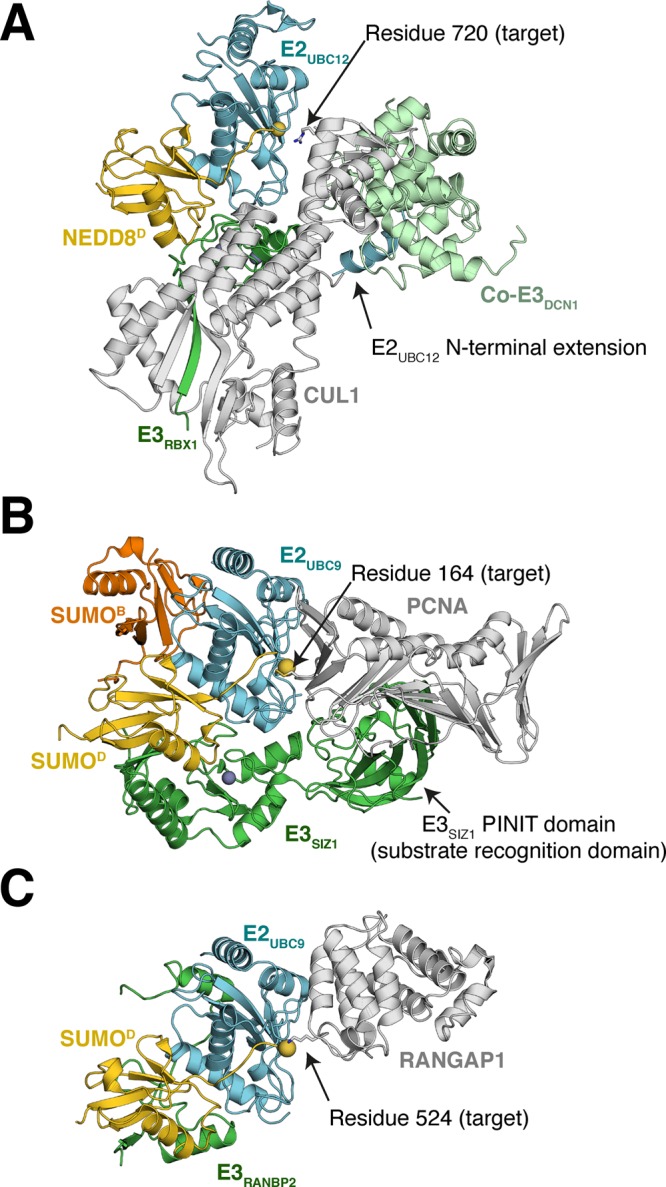 Figure 16