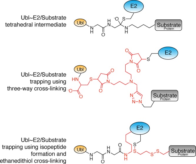 Figure 21