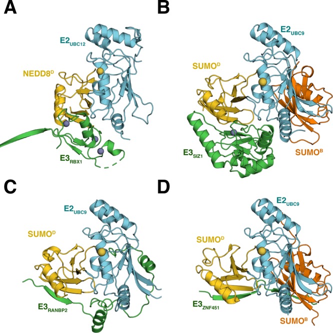 Figure 15