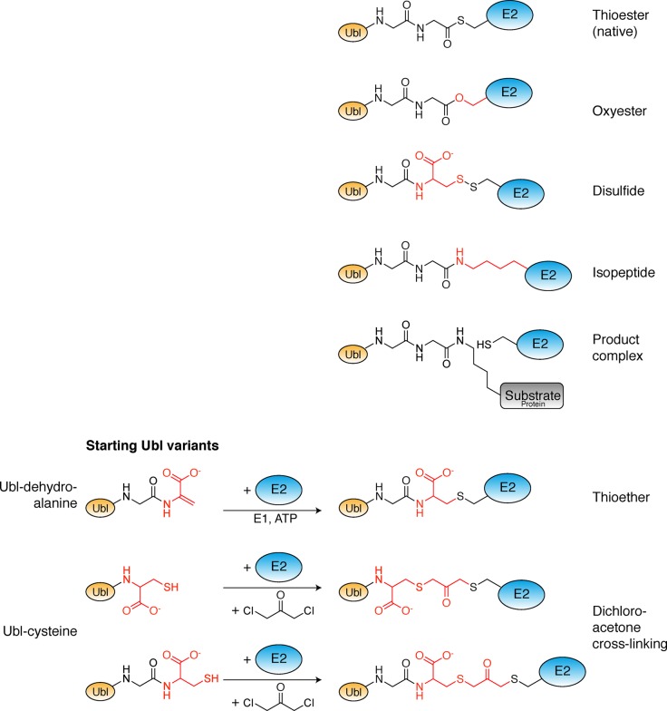 Figure 20