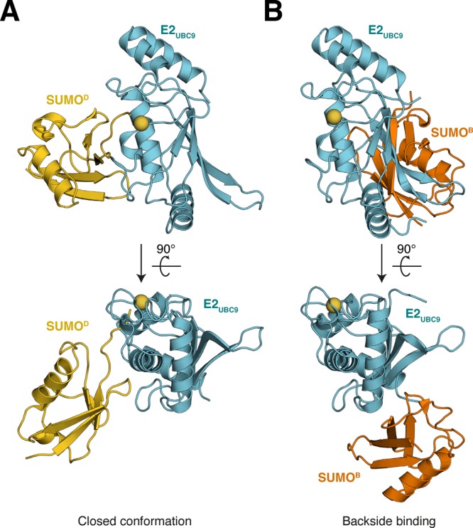 Figure 13