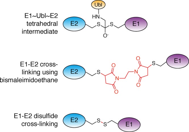 Figure 19