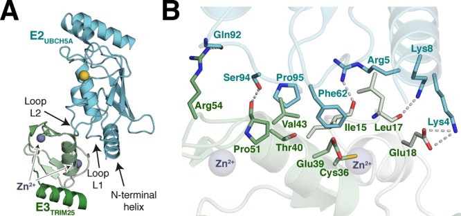 Figure 14