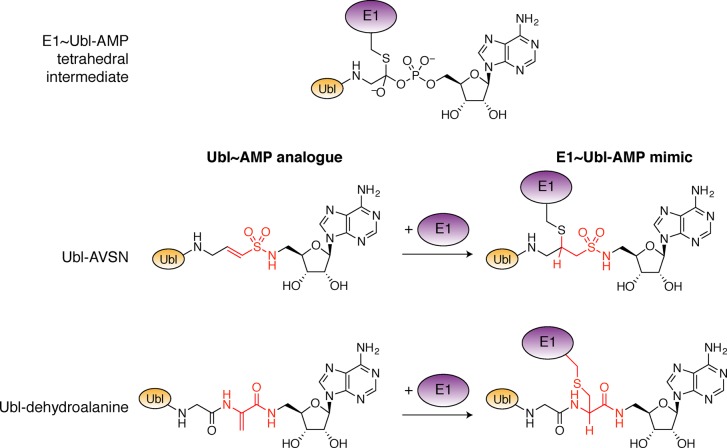 Figure 18