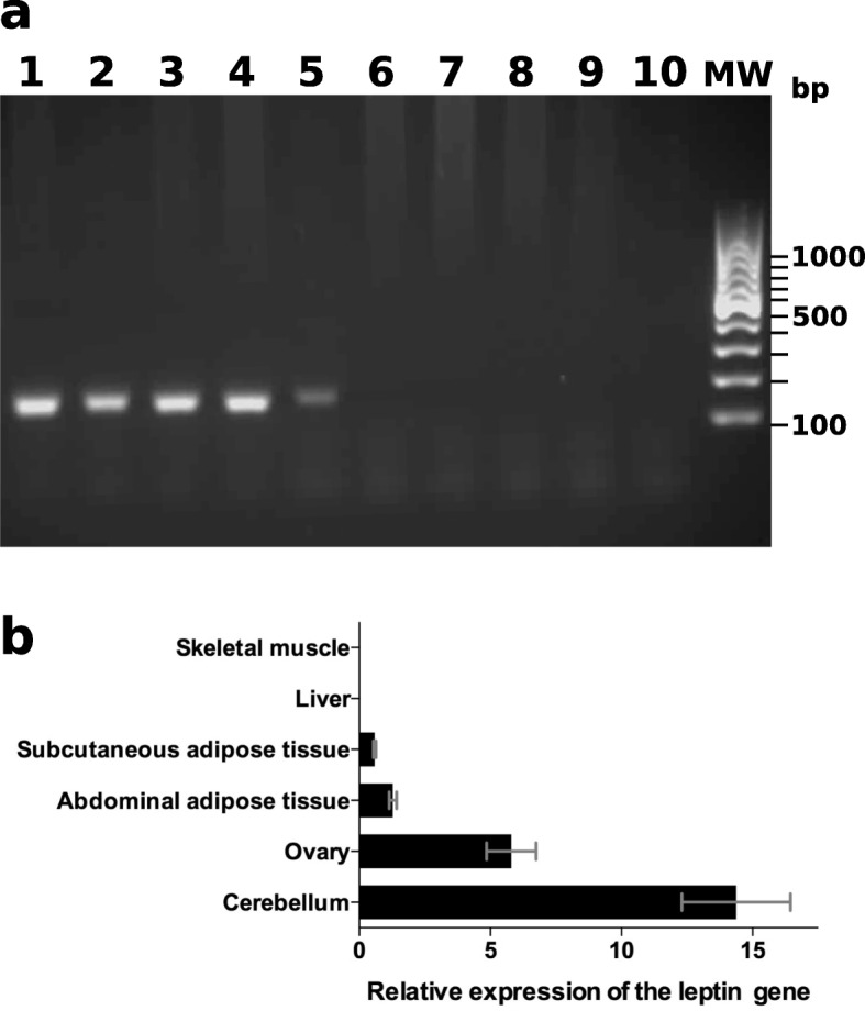 Fig. 4