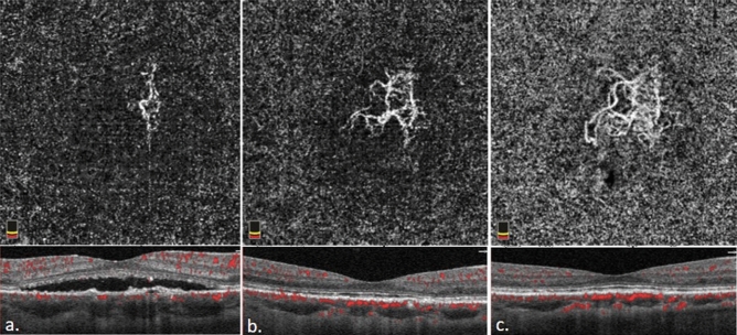 Figure 1﻿