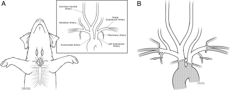 Figure 1: