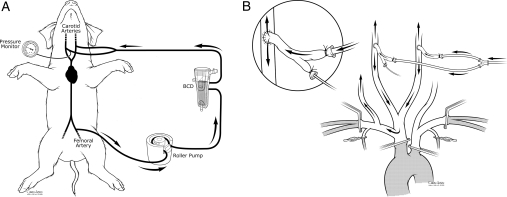 Figure 2: