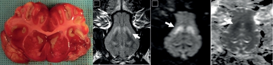 Figure 4: