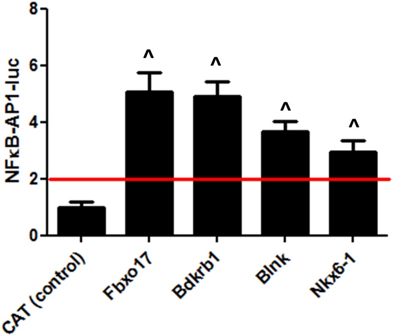 Figure 5