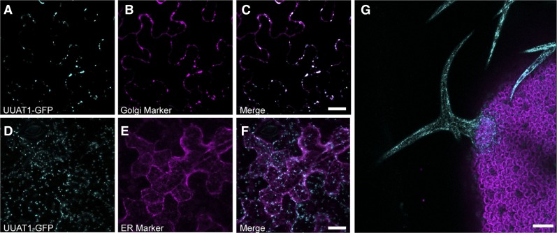 Figure 3.