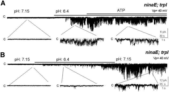 Figure 6.