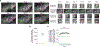 Extended Data Fig. 7 |