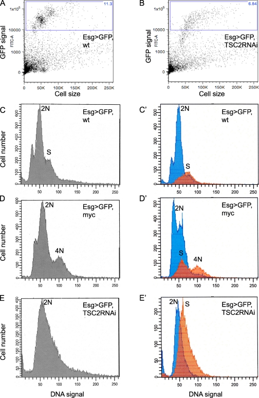 Figure 4.