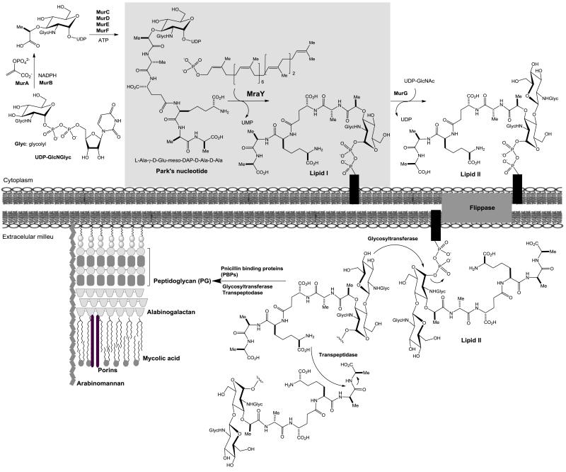 Fig 1