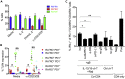 Figure 5