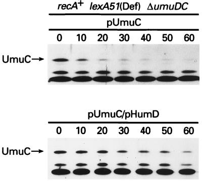 FIG. 9