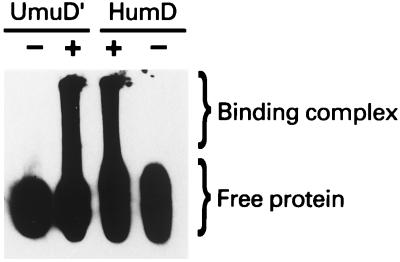 FIG. 10