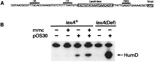 FIG. 7