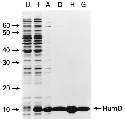 FIG. 5