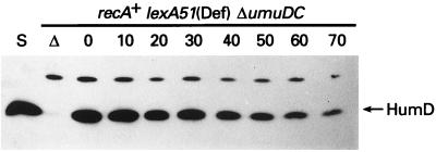 FIG. 8