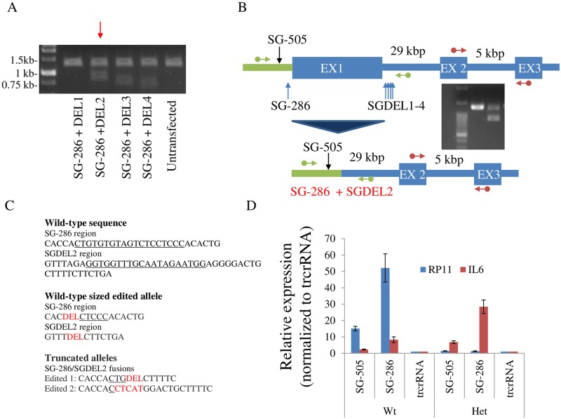 Fig 6