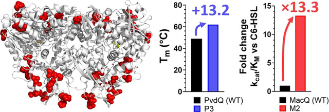 graphic file with name nihpp-2023.09.01.555929v1-f0001.jpg