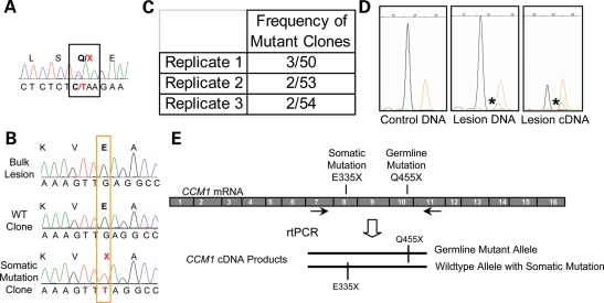 Figure 2.