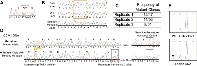 Figure 1.