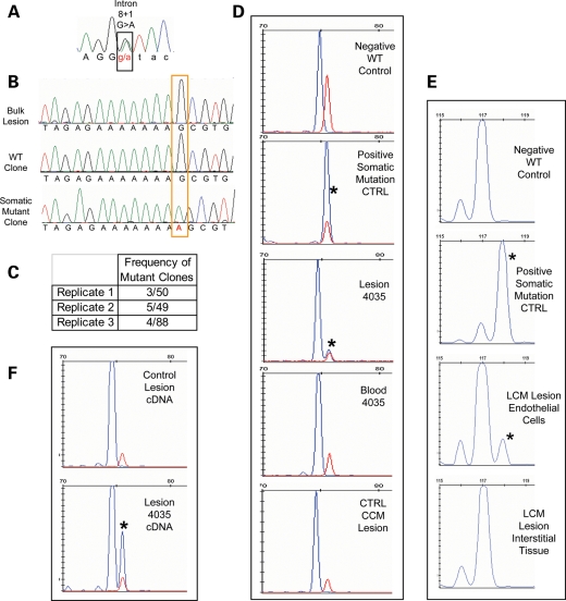 Figure 4.