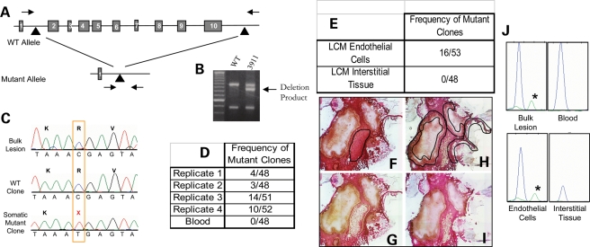 Figure 3.