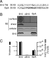 Fig 8