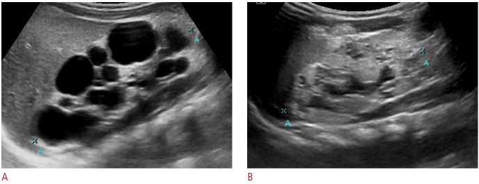 Fig. 8.