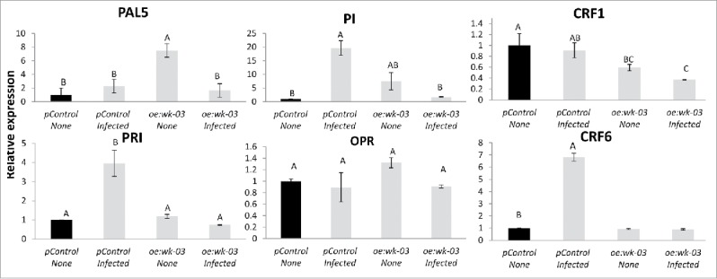 Figure 7.