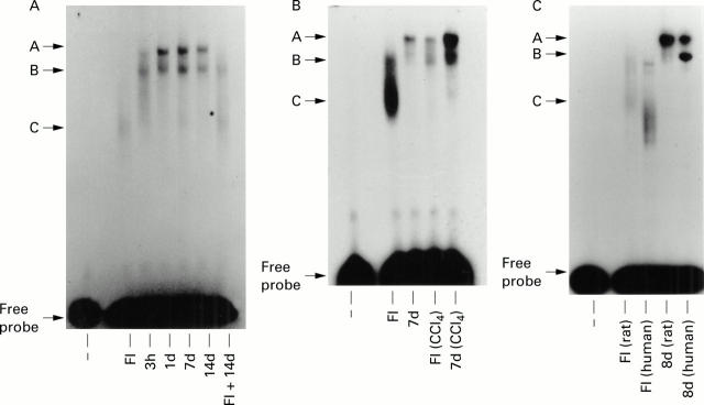 Figure 1  