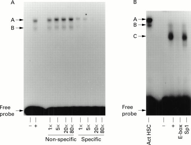 Figure 2  