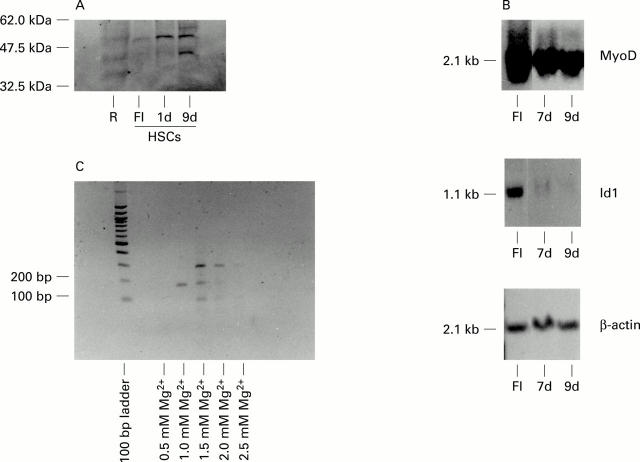 Figure 5  