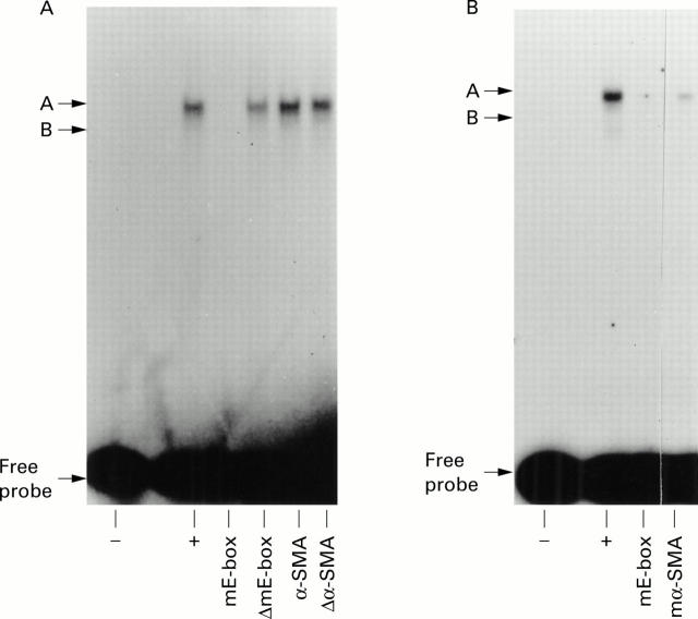 Figure 3  