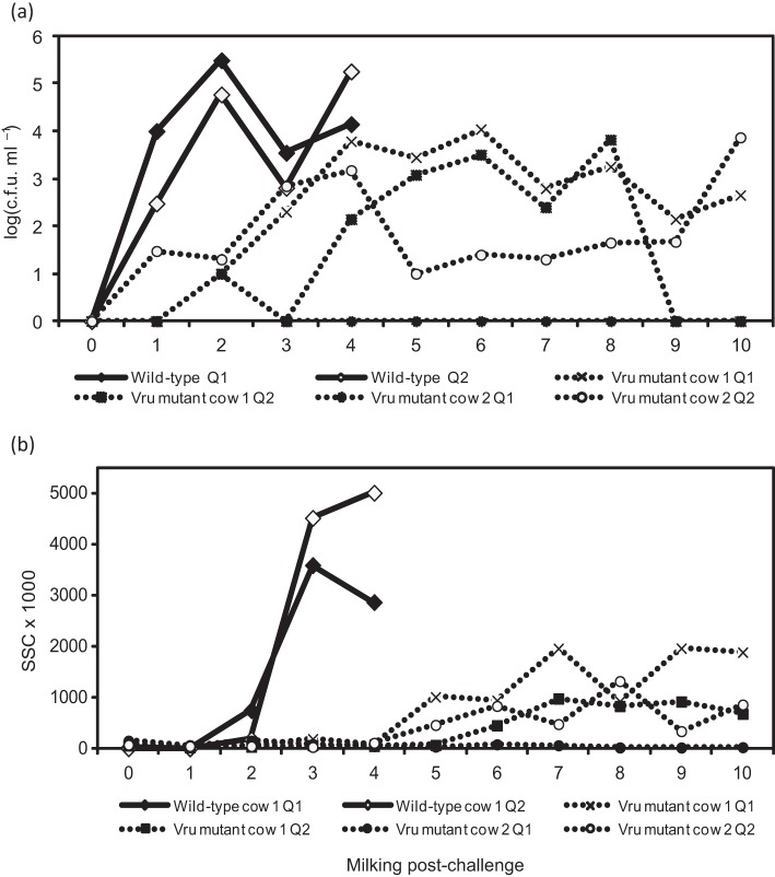 Fig. 1. 