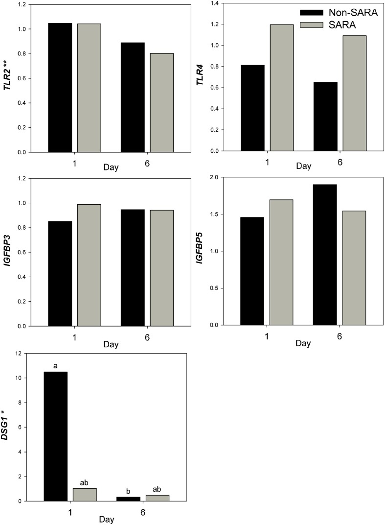 FIGURE 7