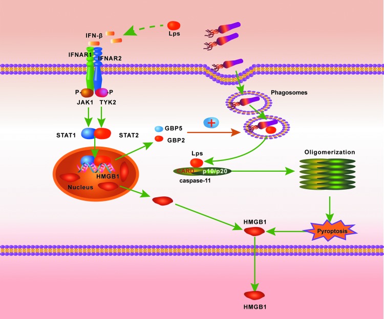 FIG. 4.