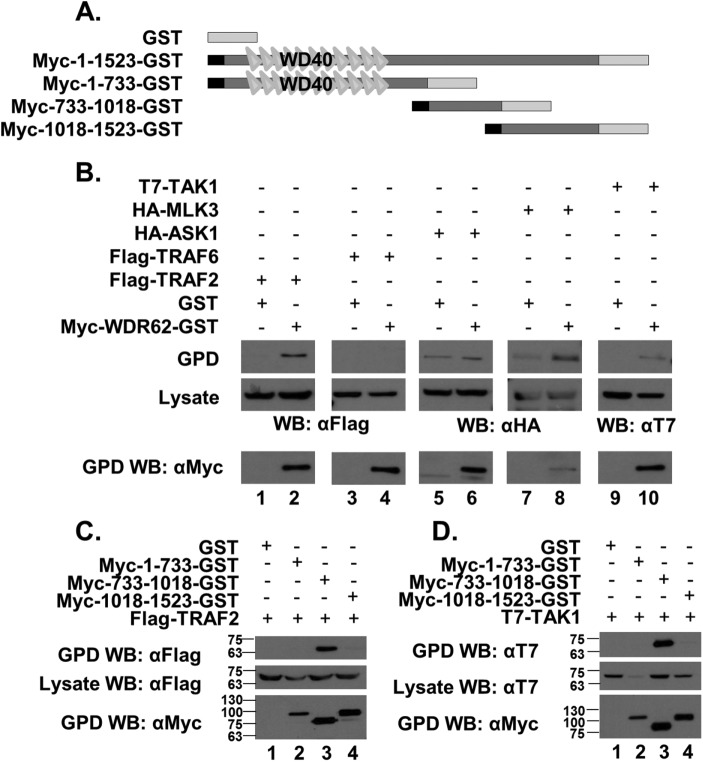 FIGURE 5: