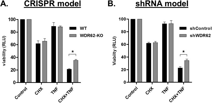 FIGURE 7: